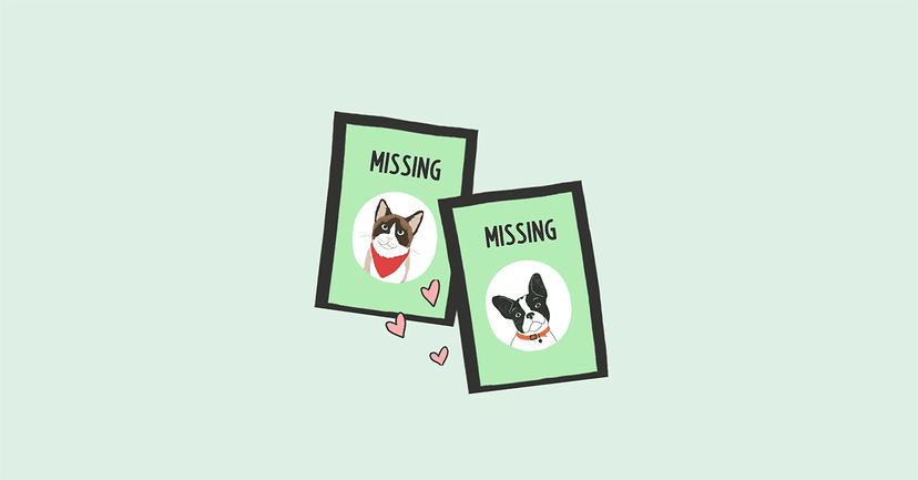 Missing Pets Log - Java OOP Project